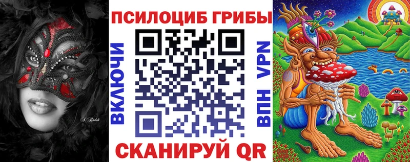 как найти   Усолье  Псилоцибиновые грибы Cubensis 